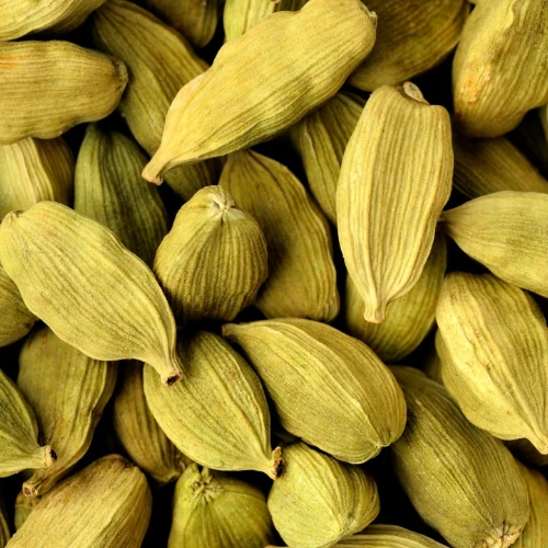 Kardamom