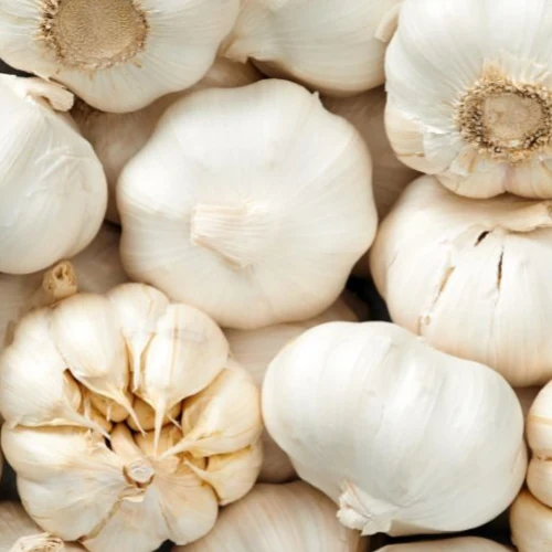 Knoblauch